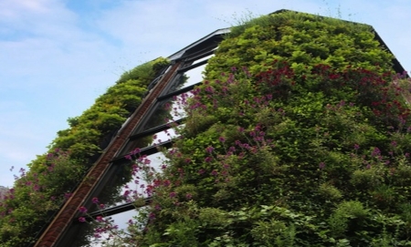 Living Wall &amp; Green Roof design - Introducing biodiversity &amp; biophilia to urban spaces