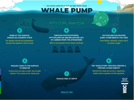 Whale pump