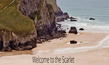 111 Sustainable Ways by the Scarlet